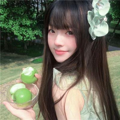 山菊花